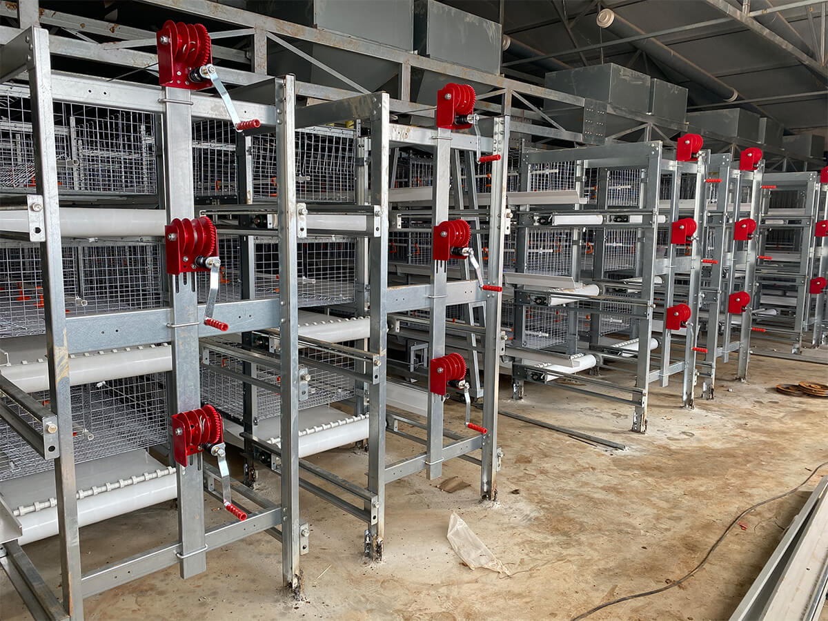 Poultry equipment in Nigeria