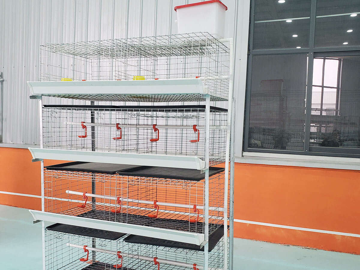 Automated Pan Feeding Line