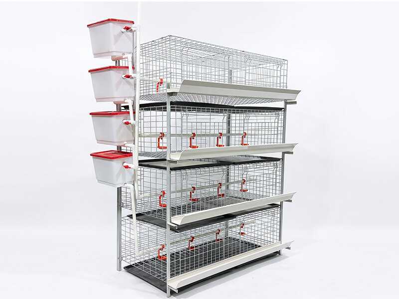Broiler chicken cage