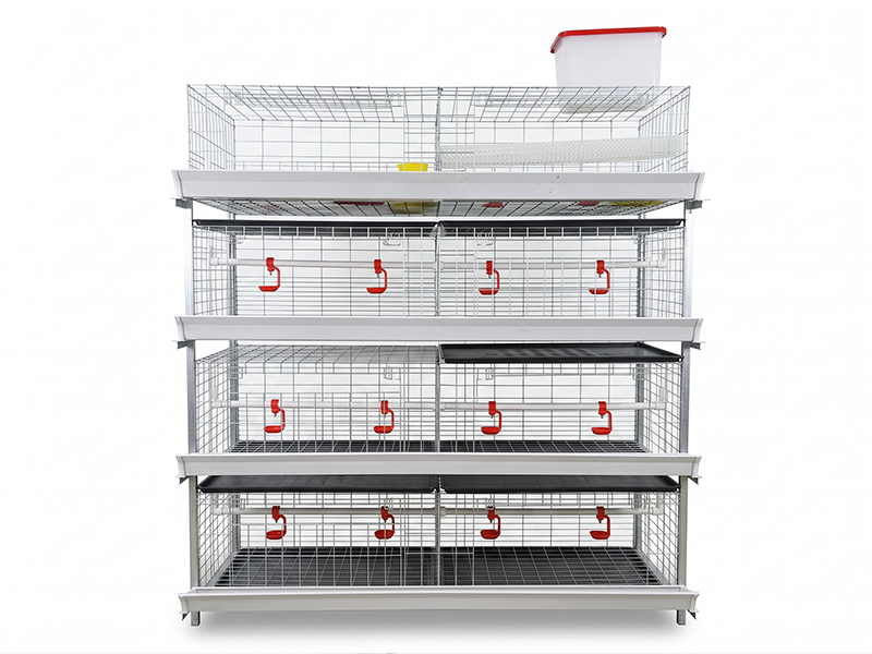 Chicken brooder cage