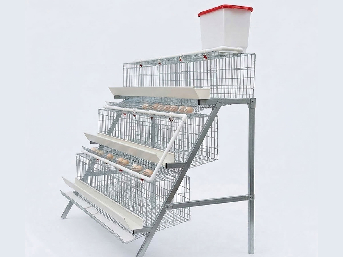 D Type Layer Cage