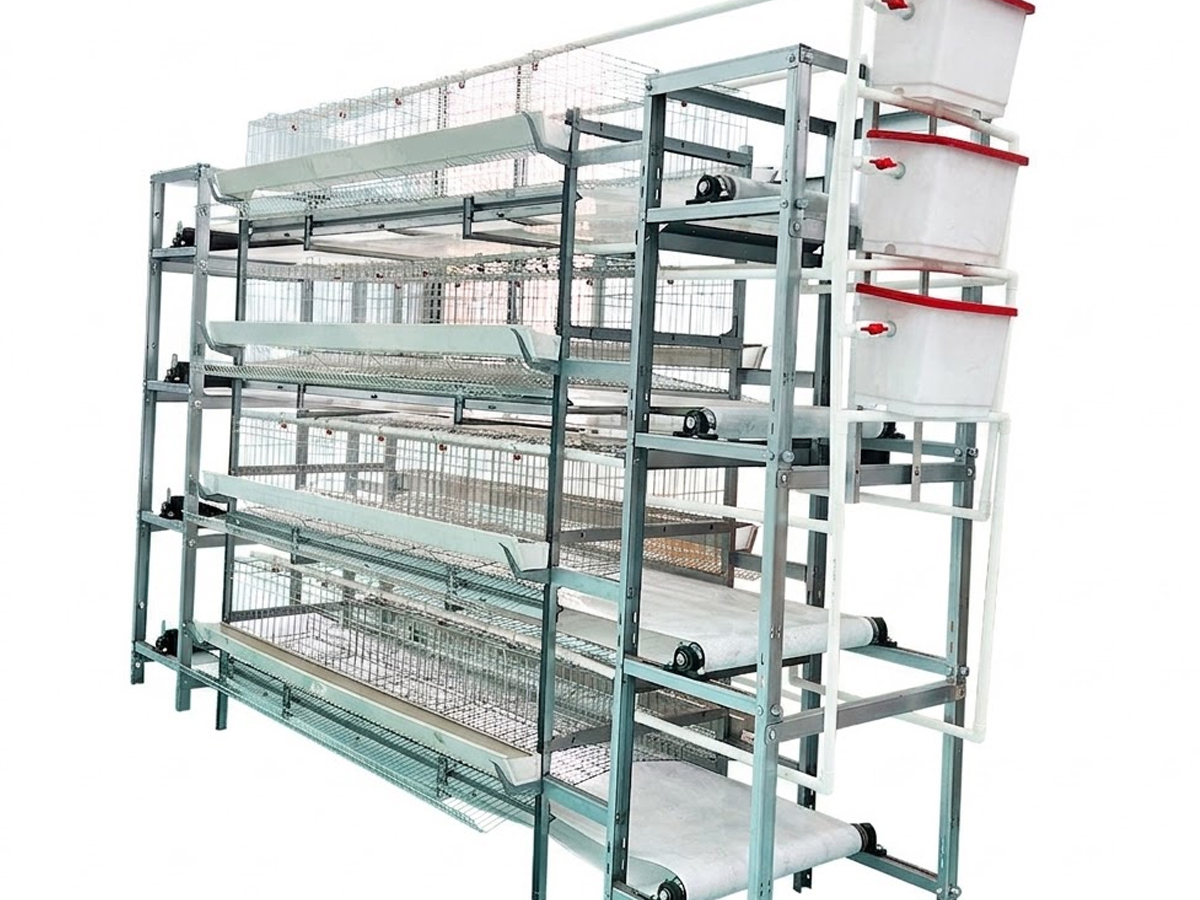Manual Manure Removal Layer Cage