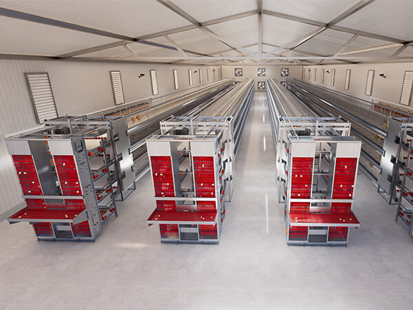 Interior view of the cage rows